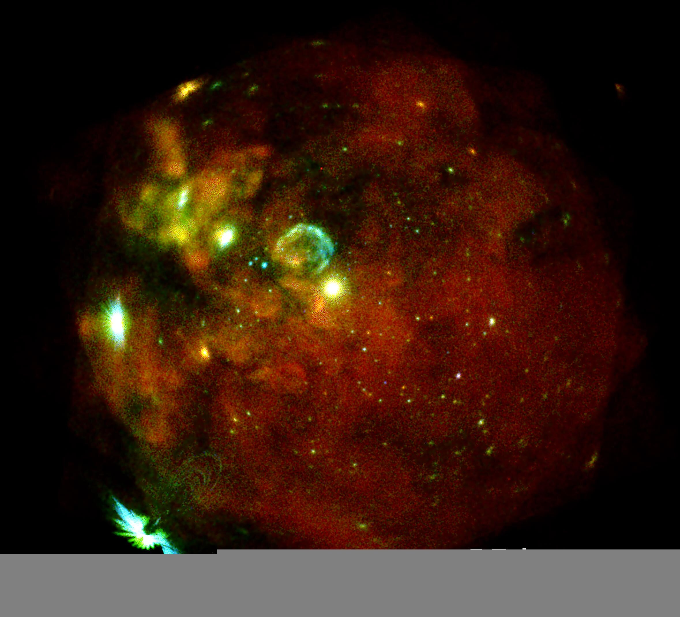 Non Profit Adobe Creative Cloud